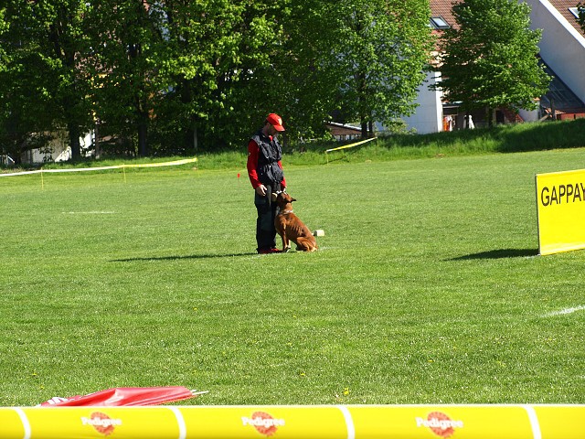 www.atibox.net * www.euroboxer.eu * www.boxergenealogia.eu